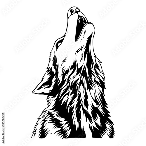 vector illustration The head of the wolf with the position facing the sky to roar black and white design