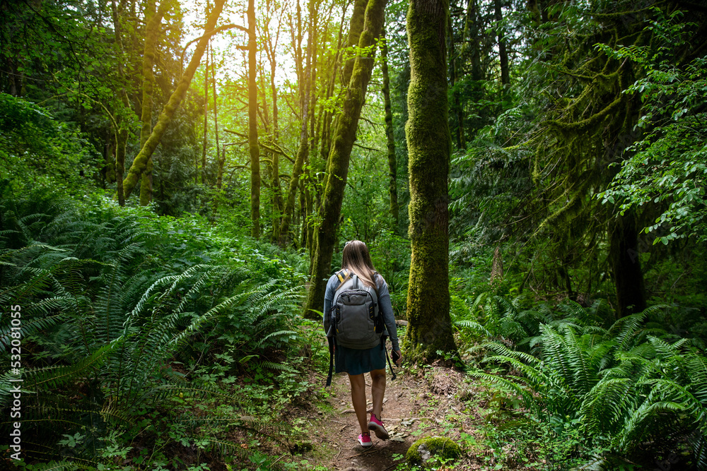 Solo Female Hiker walking through a lush wooded forest in the beautiful Pacific Northwest. Outdoor lifestyle photo Solo Female Hiker walking through a lush wooded forest in the beautiful Pacific Northwest. Outdoor lifestyle photo