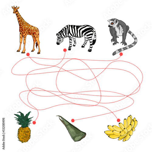 Help the animals to go through the maze. Colorful african animals and plants. Funny vector illustration. Isolated on white background. Giraf, zebra, lemur and pineapple, bananas, cactus. Children game photo