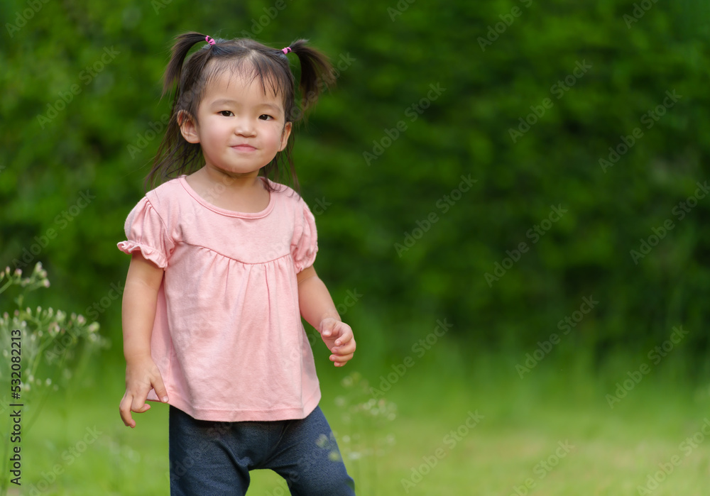 happy toddler girl in field happy toddler girl in field