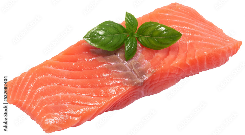piece of salmon fillet isolated piece of salmon fillet isolated