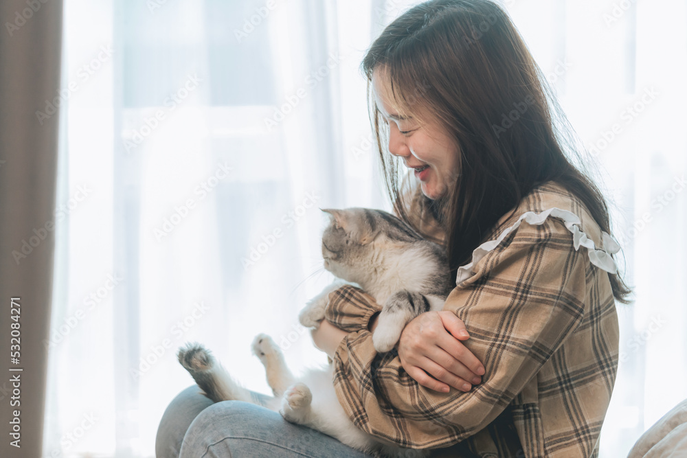 Asian women are lovingly hugging fat cats. Asian women are lovingly hugging fat cats.