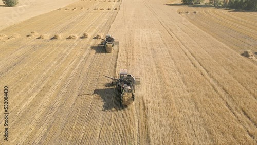 Harvesting of grain crops.Harvesting wheat,oats and barley in fields,ranches and farmlands.Combines mow wheat in the field.Agro-industry.Combine Harvester Cutting on wheat filed.Machine harvest wheat