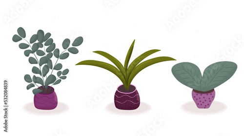 A set of png file indoor plants in pots illustration. Ready-made set for the designer.