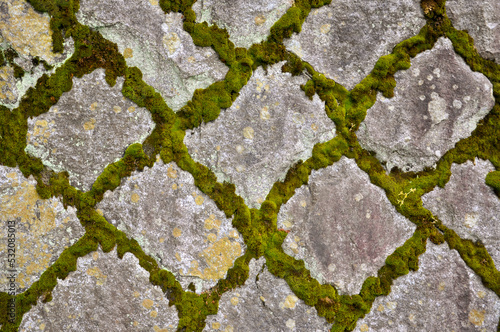 stone wall with moss