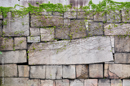 castle wall japan