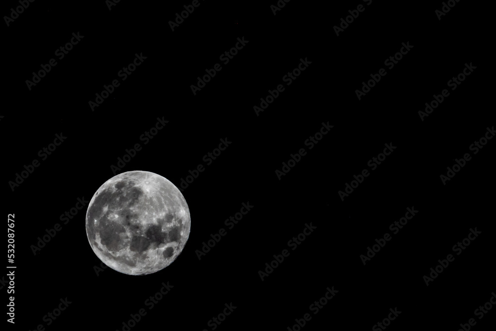 Fototapeta premium 中秋の名月