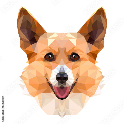 Corgi