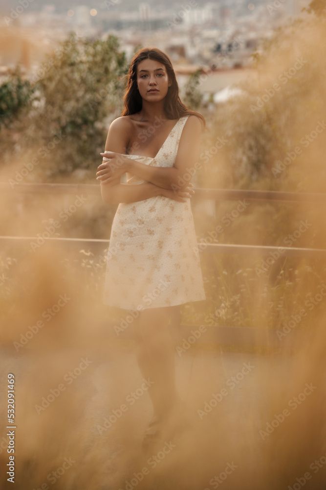 Obraz premium Full length beautiful young caucasian girl in dress looking at camera outdoors summer. Brunette stands with her arms crossed near wooden fence. Nature, vacation concept