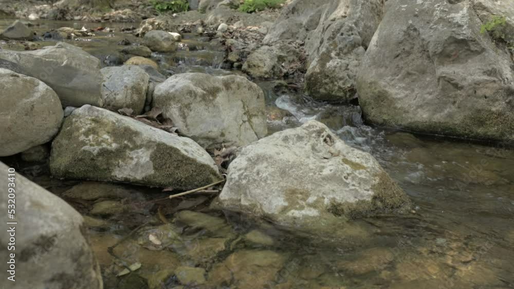 Stream 7 Stream 7