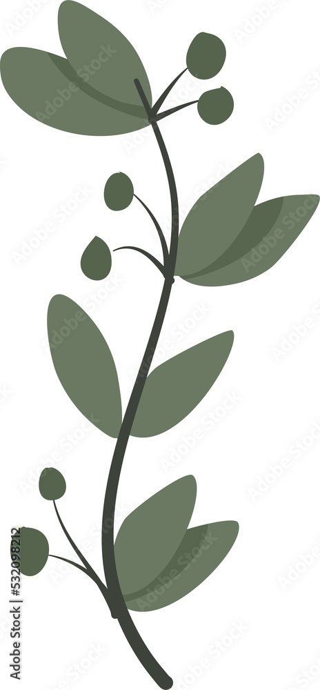 Illustration of plant Illustration of plant