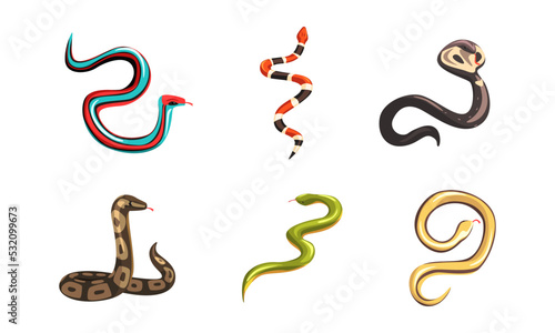 Set of different snakes. Tropical serpents, carnivorous reptiles cartoon vector illustration