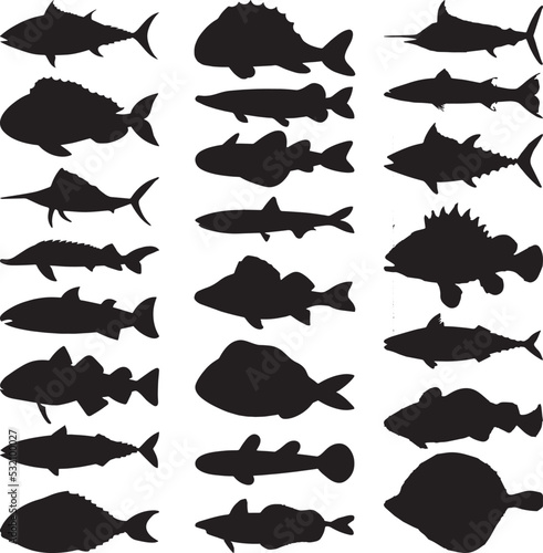 Fish black and white silhouettes set of marine animals