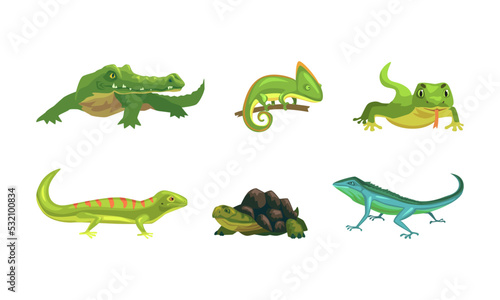 Set of amphibians. Chameleon  iguana  crocodile crawling animals cartoon vector illustration