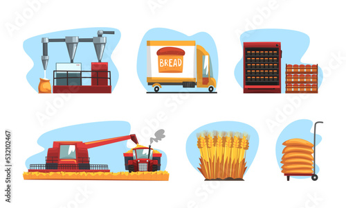 Flour and bread production from harvesting to freshly baked bread set vector illustration