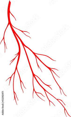 Blood vessel pulmonary or perforator vein icon