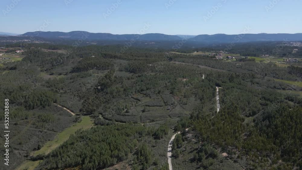 flying above the trees in the countryside, drone flying forward love the pine trees showing some road in the middle of the green fields and the blue sky in the background. 4K, 60 fps.