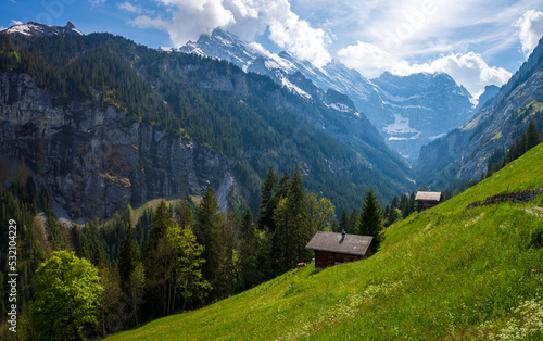 alpine meadow in Lauterbrunnen in Switzerland