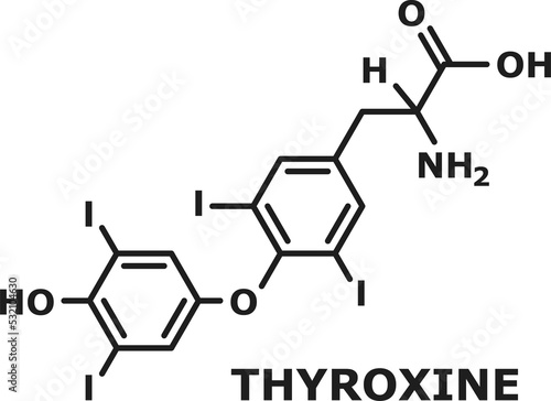 Levothyroxine, hormone thyroxine skeletal formula