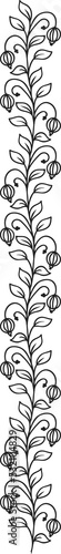 Divider line separator isolated floral ornament