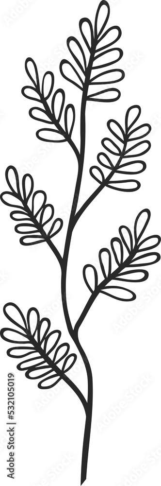 Vector thyme branch isolated seasoning herb icon Vector thyme branch isolated seasoning herb icon