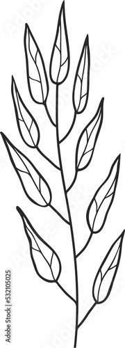 Autumn fall season plant  hand drawn white branch