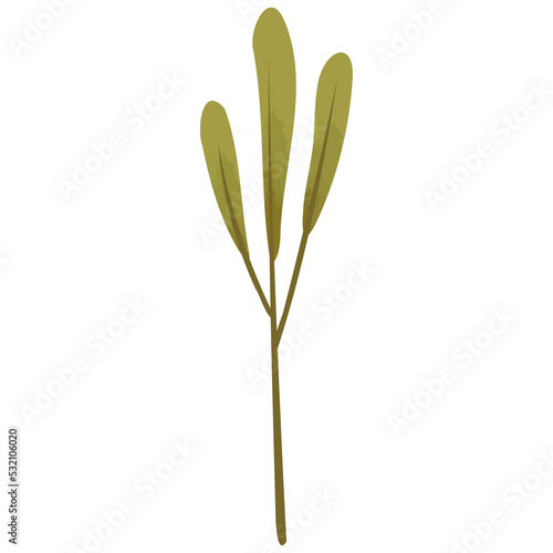 Foliages Element Tree Branch Stick Twig PNG Clipart Illustration