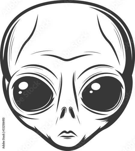 Humanoid paranormal alien face isolated martian photo