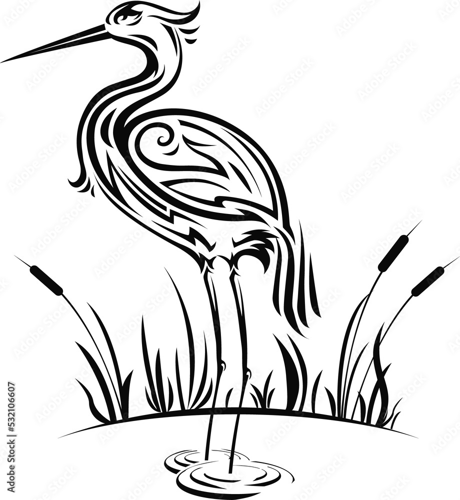 Fototapeta premium Fowl heron, egret or wader bird on pond with reeds