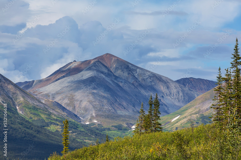 Fototapeta premium Polar tundra