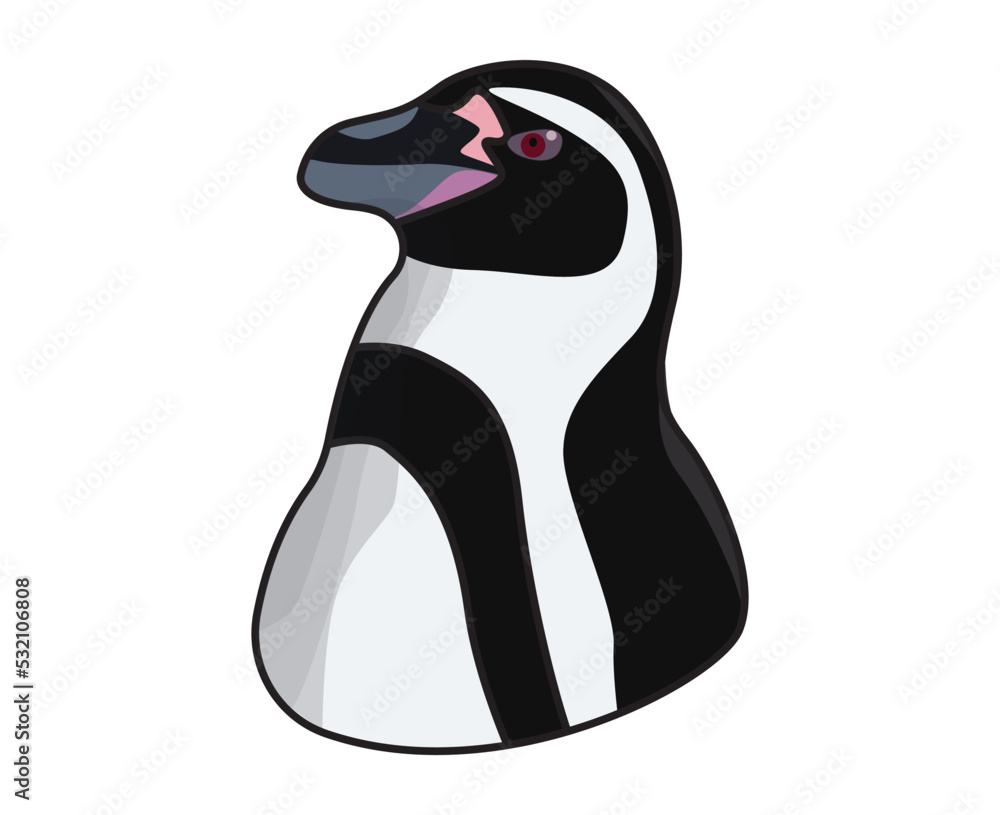 Obraz premium penguin