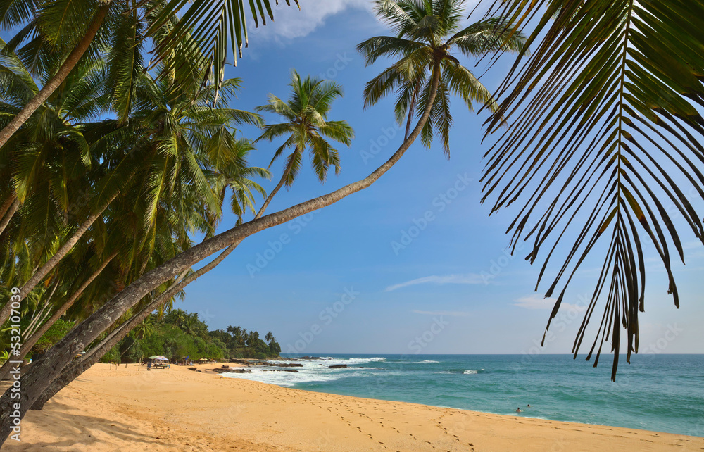 Obraz premium Tropical beach