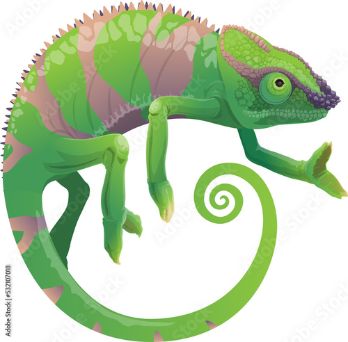 Fototapeta Naklejka Na Ścianę i Meble -  Chameleon vector icon, cartoon green lizard pet