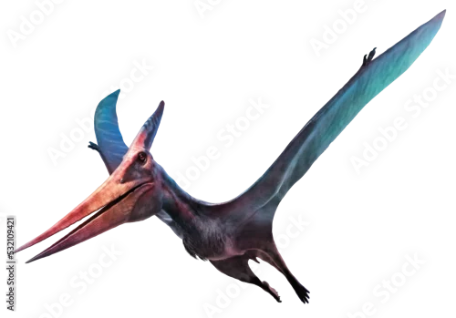 Obraz Pteranodon flying dinosaur 3D illustration	