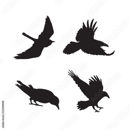 Vector silhouette set ravens birds outline © Master Design247