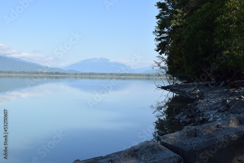View of British Columbia in Canada, threes in the forest