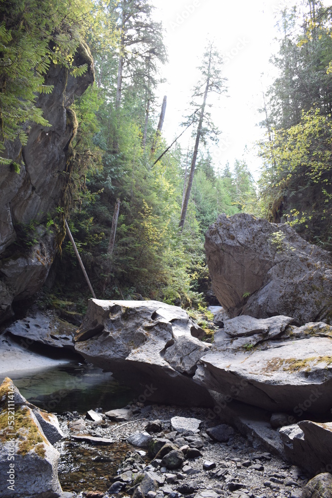 Fototapeta premium Canada view in British Columbia