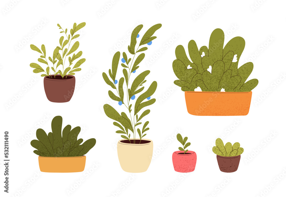 Home plants growing in pots, planters, flowerpots set. Abstract indoor interior houseplants with leaf, blooming flowers, fruits. Green decor. Flat vector illustrations isolated on white background