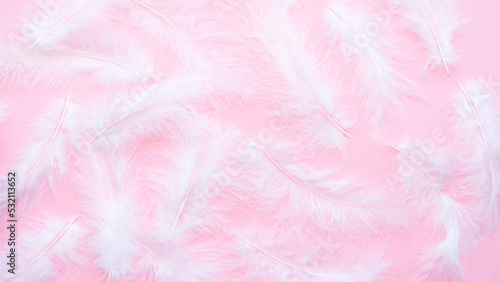 White soft feathers on a pink background