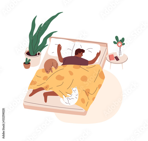 Person sleeping alone with cute cats in bed. Single black man asleep in bedroom at home. Pet owner lying, relaxing, dreaming with felines. Flat graphic vector illustration isolated on white background