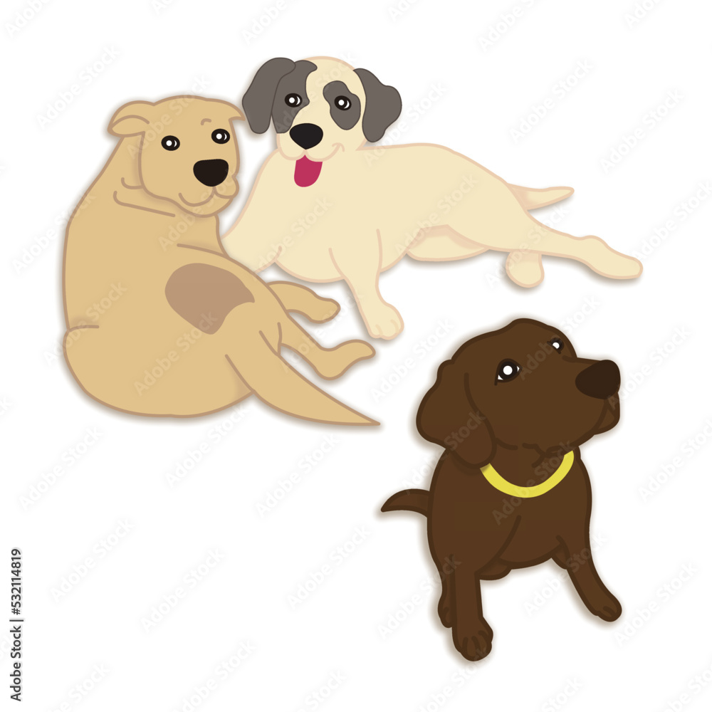 ミックス犬とラブラドールレトリバー