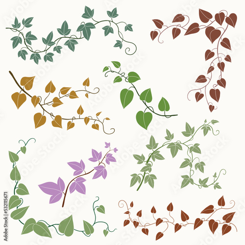 Simplicity ivy freehand drawing flat design collection.