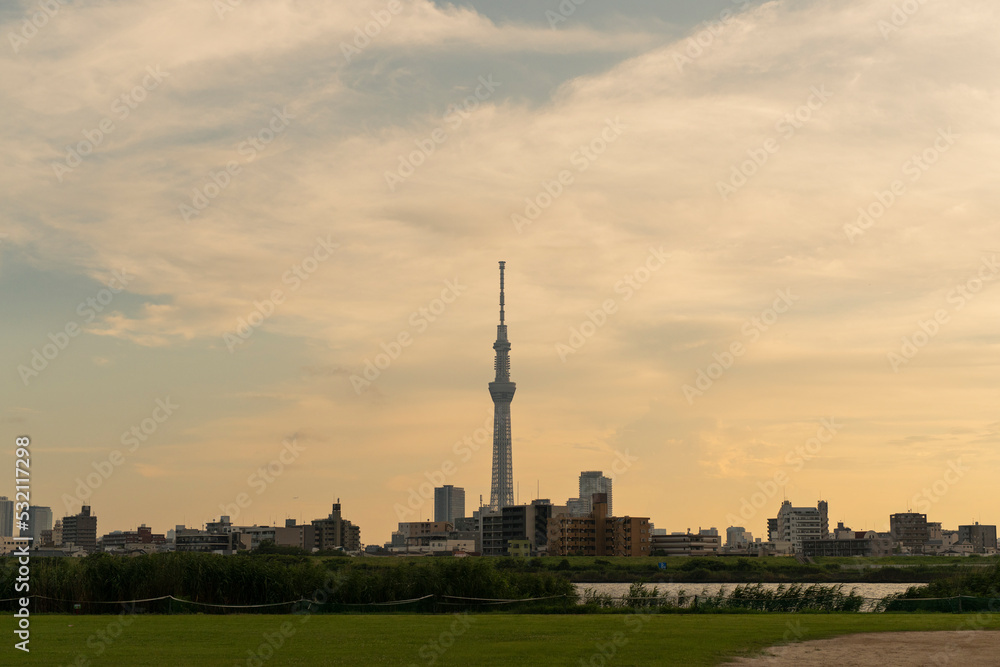 夕方 河川敷 東京スカイツリー