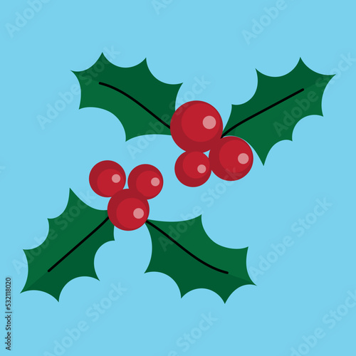 Holly berries leaves with fruits, Christmas illustration