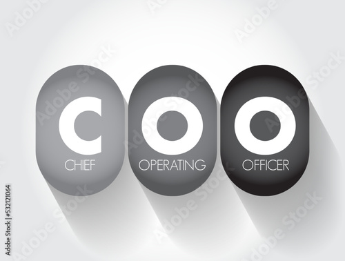 COO Chief Operating Officer - one of the highest-ranking executive positions in an organization, acronym text concept background