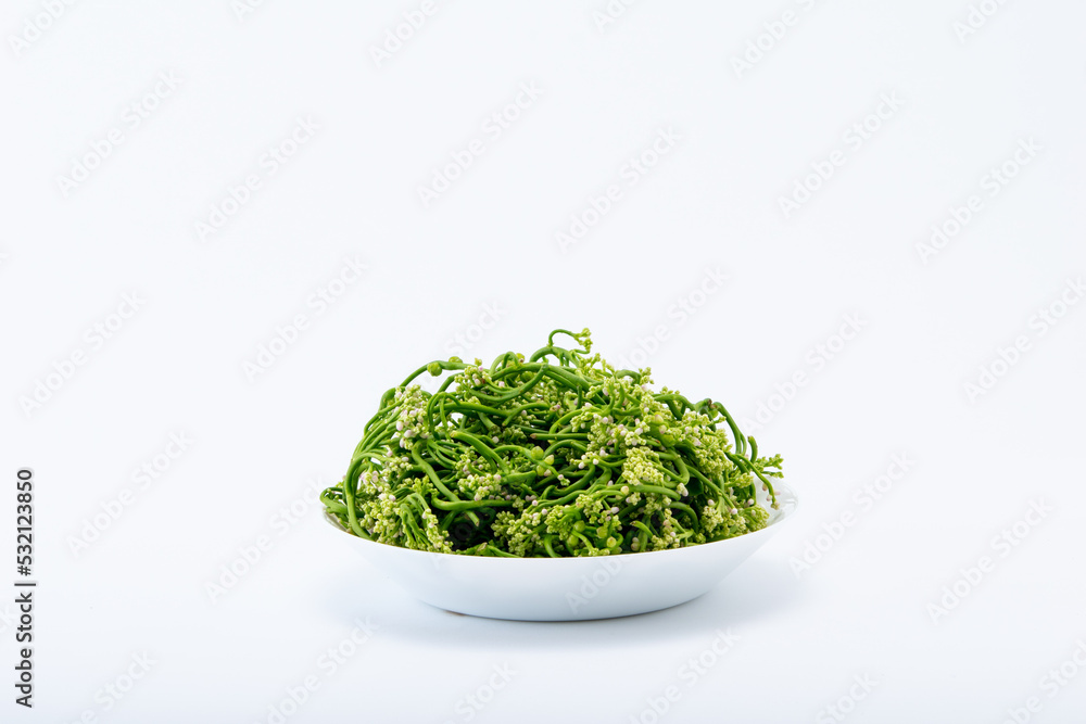 Hydroponic vegetable For health lover on white background. Hydroponic vegetable For health lover on white background.