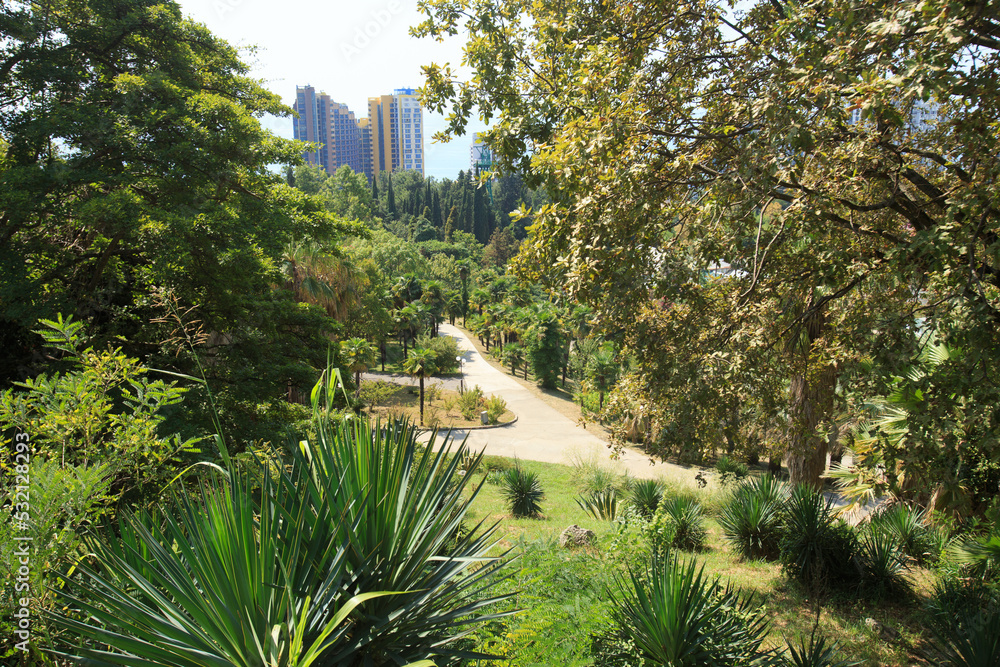 beautiful green park with parks, trees near city buildings
beautiful green park with parks, trees near city buildings