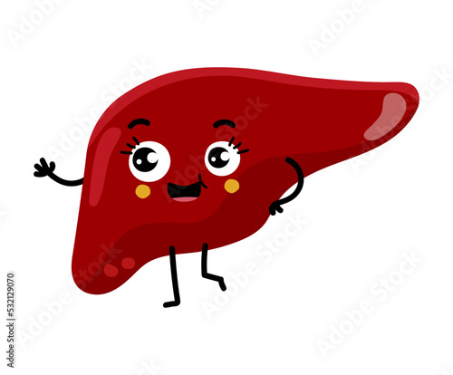 Human liver cute cartoon character. Body anatomy element, health medical sign, internal organ, human body physiology isolated on white background vector illustration.