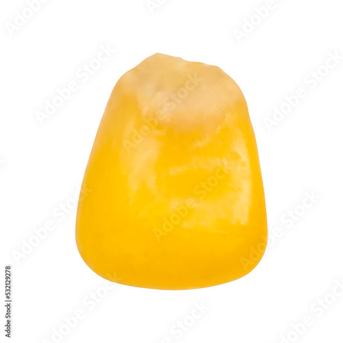 Corn grain isolated on white background. Colored image of corn grain. Vector mesh illustration.