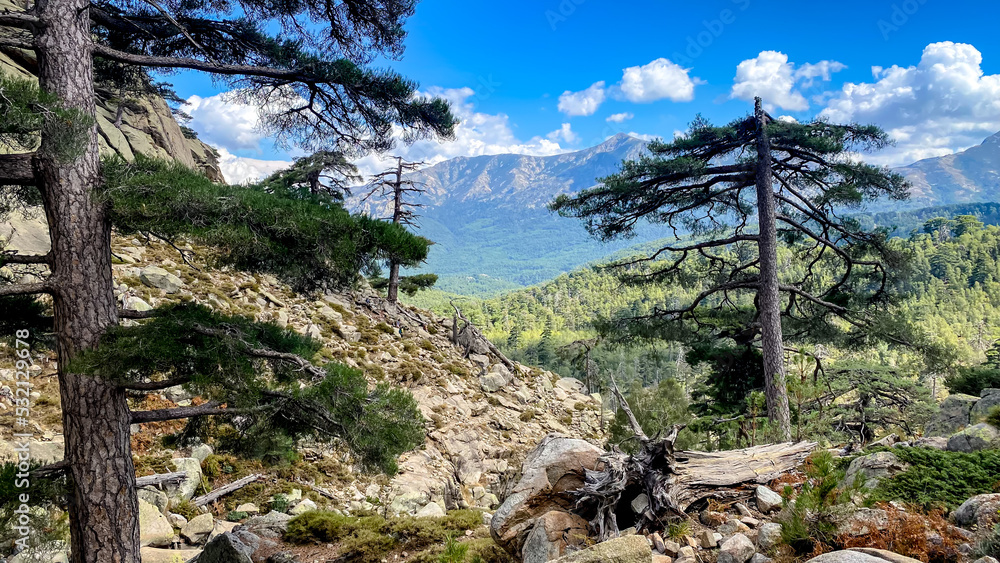 View of stream, trees, boulders and mountains from Cascades de Radule. On the way to the mountains Paglia Orba, Corsica, France. View of stream, trees, boulders and mountains from Cascades de Radule. On the way to the mountains Paglia Orba, Corsica, France.